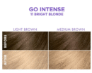 Dark & Lovely Go Intense! Bright Blonde 11