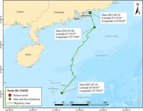 XL BORN  LOCS 22'' 33