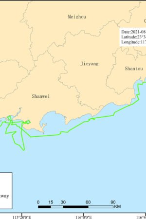 XL BORN  LOCS 22'' 4